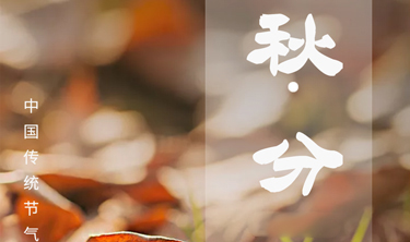 taptap开户-taptap体育注册